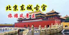 欧美狂操流白浆中国北京-东城古宫旅游风景区